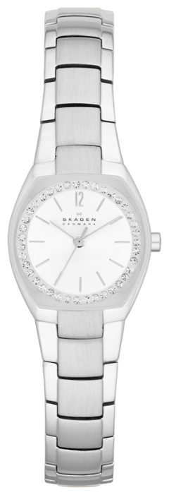 Wrist watch Skagen SKW2110 for women - 1 picture, image, photo