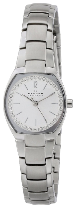 Wrist watch Skagen SKW2110 for women - 2 picture, image, photo