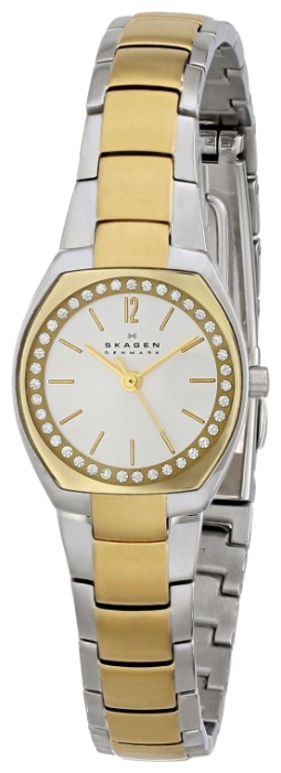Wrist watch Skagen SKW2111 for women - 2 picture, image, photo