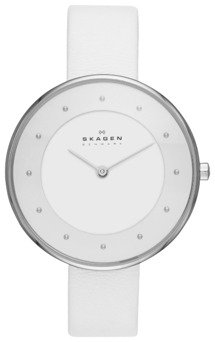 Wrist watch Skagen SKW2136 for women - 1 picture, image, photo