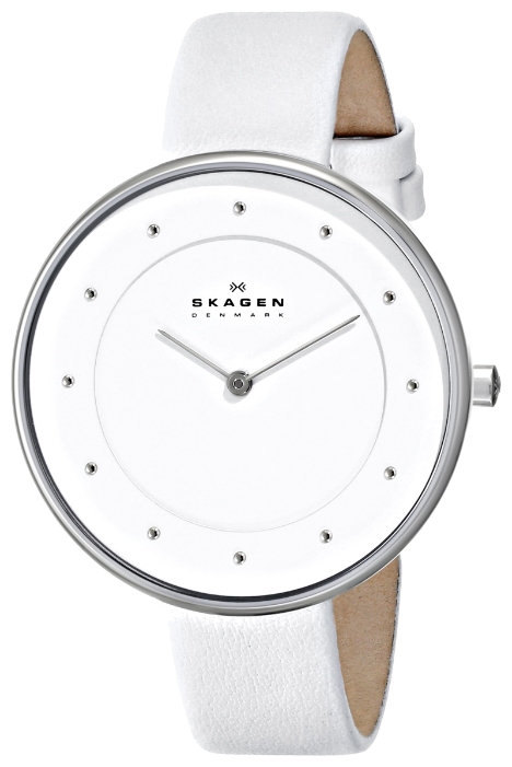 Wrist watch Skagen SKW2136 for women - 2 picture, image, photo