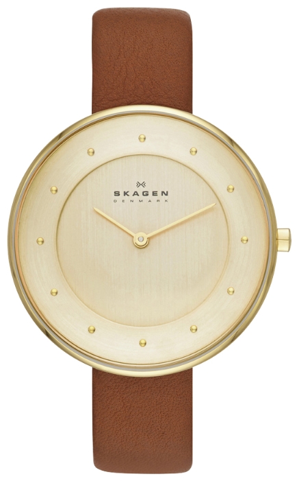 Skagen SKW2138 wrist watches for women - 1 image, picture, photo