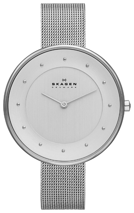 Wrist watch Skagen SKW2140 for women - 1 photo, picture, image