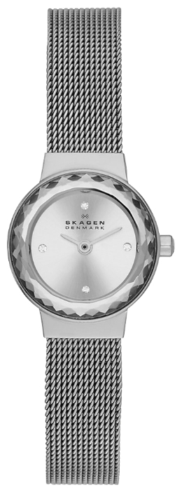 Wrist watch Skagen SKW2184 for women - 1 image, photo, picture