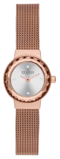 Skagen SKW2187 wrist watches for women - 1 image, picture, photo