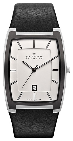 Skagen SKW6003 wrist watches for men - 1 image, picture, photo