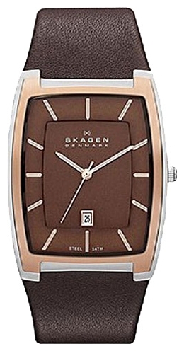 Wrist watch Skagen SKW6004 for men - 1 photo, picture, image