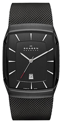 Wrist watch Skagen SKW6011 for men - 1 image, photo, picture
