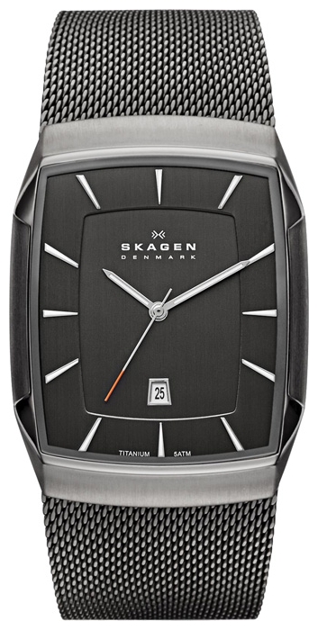 Wrist watch Skagen SKW6012 for men - 1 photo, image, picture