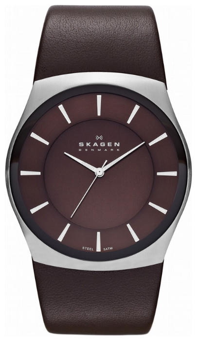 Wrist watch Skagen SKW6016 for men - 1 photo, image, picture