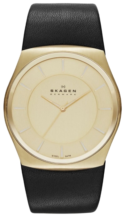 Wrist watch Skagen SKW6018 for men - 1 photo, image, picture