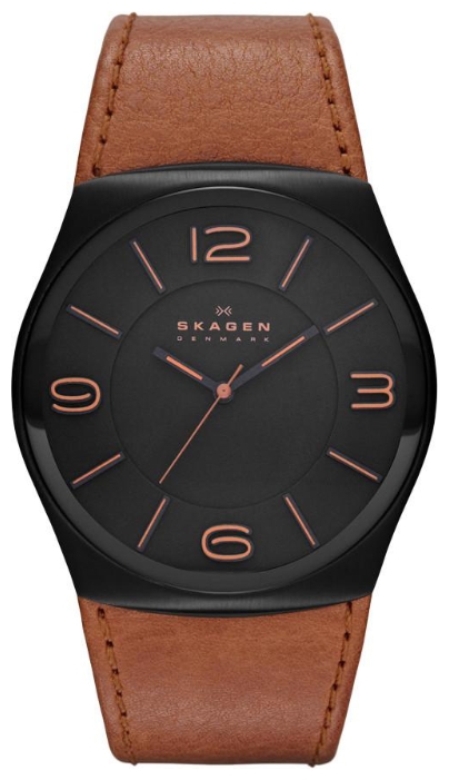 Wrist watch Skagen SKW6040 for men - 1 photo, image, picture
