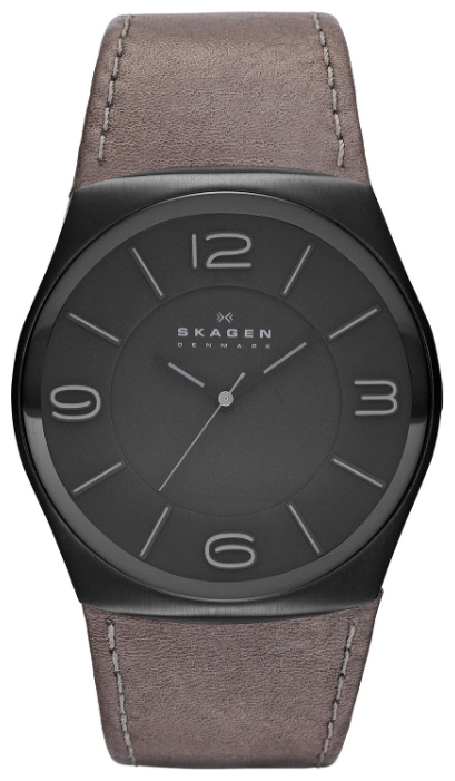 Wrist watch Skagen SKW6041 for men - 1 image, photo, picture