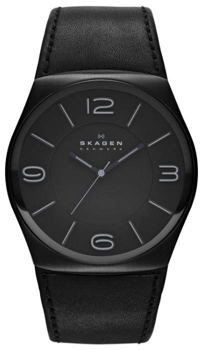 Wrist watch Skagen SKW6043 for men - 1 picture, photo, image