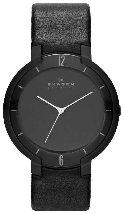 Wrist watch Skagen SKW6045 for men - 1 picture, image, photo