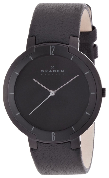 Wrist watch Skagen SKW6045 for men - 2 picture, image, photo