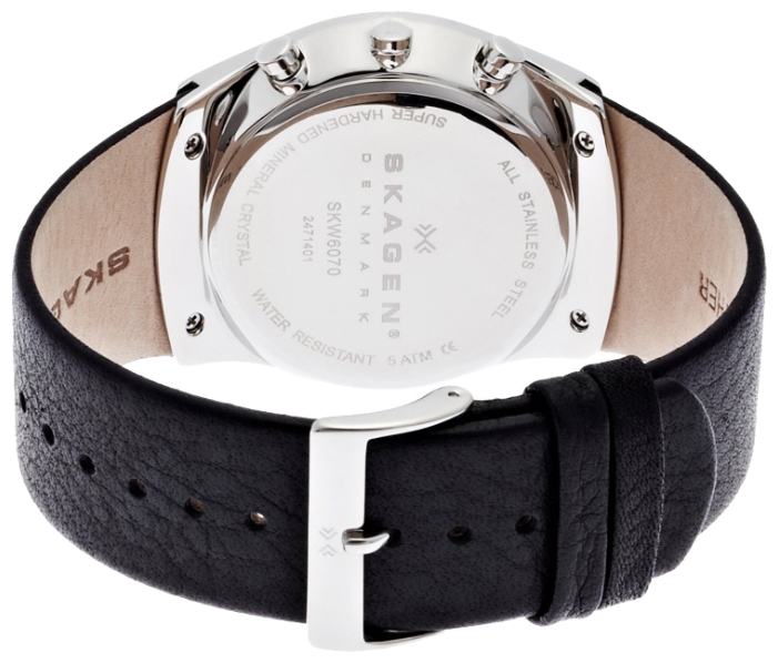 Wrist watch Skagen SKW6070 for men - 2 image, photo, picture