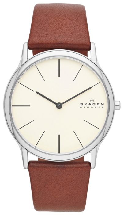 Skagen SKW6083 wrist watches for men - 1 image, picture, photo