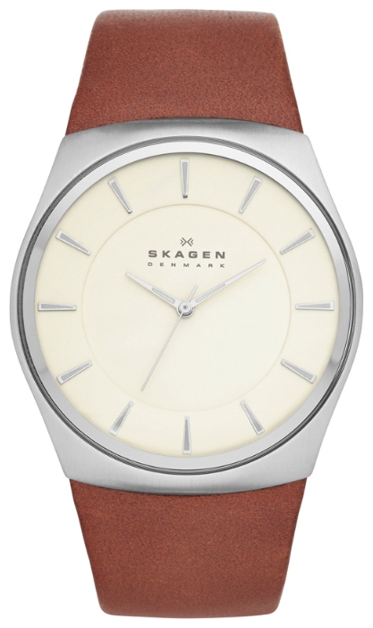 Wrist watch Skagen SKW6084 for men - 1 image, photo, picture