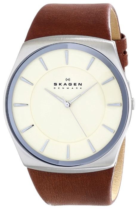 Wrist watch Skagen SKW6084 for men - 2 image, photo, picture