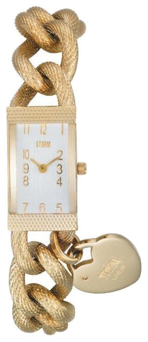 Wrist watch STORM Mia gold silver for women - 1 image, photo, picture