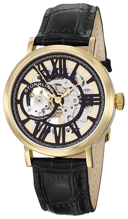 Stuhrling watch for men - picture, image, photo