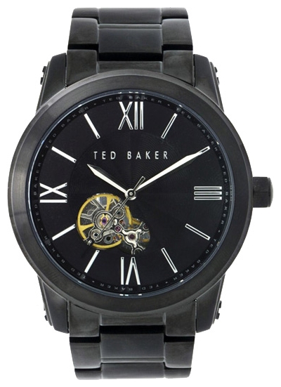 Wrist watch Ted Baker ITE3021 for men - 1 photo, image, picture