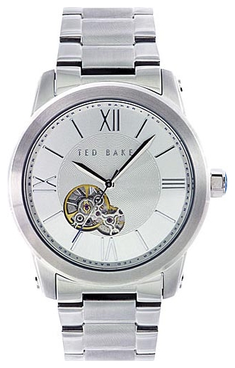 Wrist watch Ted Baker ITE3022 for men - 1 picture, image, photo