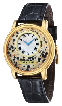Wrist watch Thomas Earnshaw ES-0027-05 for men - 1 image, photo, picture
