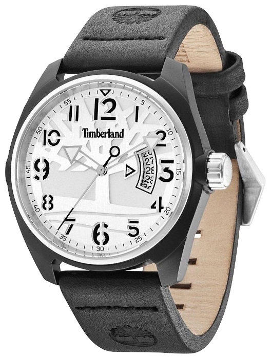 Timberland 13679JLBS_04 wrist watches for men - 1 image, picture, photo