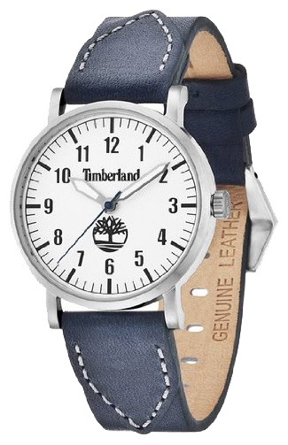 Wrist watch Timberland 14110BS/04D for kid's - 1 picture, image, photo