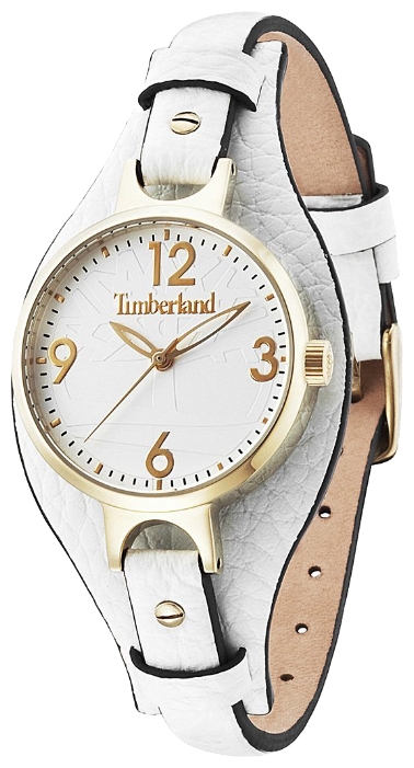 Wrist watch Timberland 14203LSG/01 for women - 1 photo, image, picture