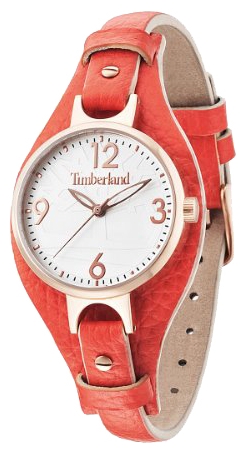 Wrist watch Timberland 14203LSR/01 for women - 1 picture, photo, image