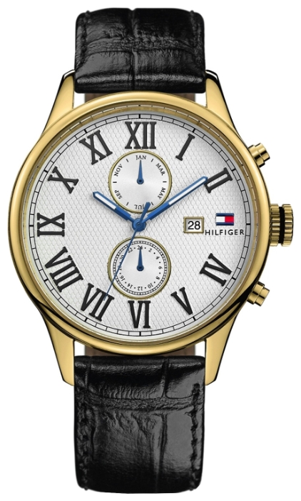 Wrist watch Tommy Hilfiger 1710291 for men - 1 picture, photo, image