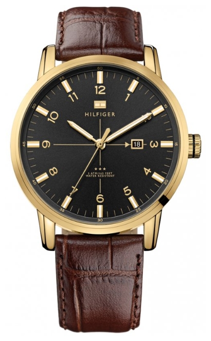 Wrist watch Tommy Hilfiger 1710329 for men - 1 image, photo, picture