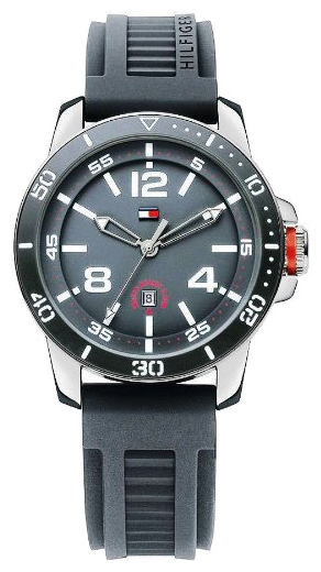 Wrist watch Tommy Hilfiger 1790849 for men - 1 photo, image, picture