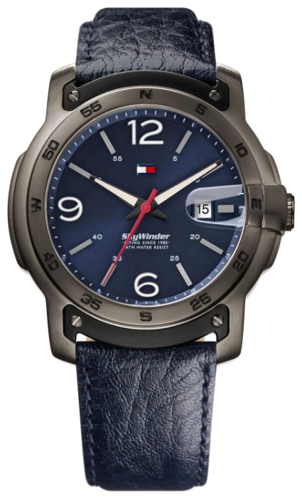 Wrist watch Tommy Hilfiger 1790895 for men - 1 photo, image, picture