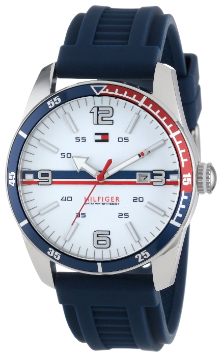 Wrist watch Tommy Hilfiger 1790918 for men - 2 photo, image, picture