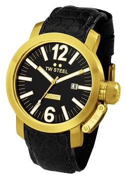 Wrist watch TW Steel TWA100 for men - 1 picture, image, photo