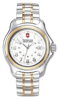 Wrist watch Victorinox V24727 for men - 1 photo, image, picture