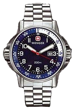 Wrist watch Wenger 70868 for men - 1 photo, image, picture
