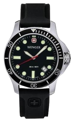 Wrist watch Wenger 72324 for men - 1 image, photo, picture