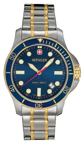 Wrist watch Wenger 72346 for men - 1 photo, picture, image