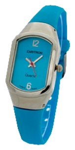 Wrist watch Zaritron FR001-1-g for unisex - 1 picture, image, photo